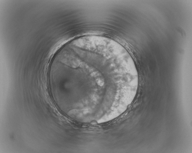 X0000115450337200911251311