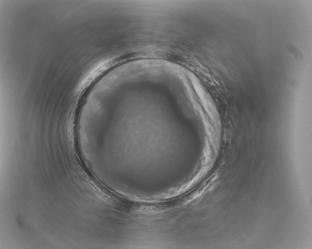 X0000115450341200911251311