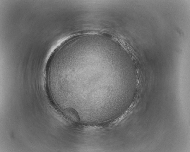 X0000115450342200911251311