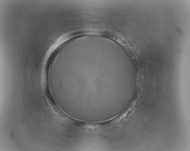 X0000115450343200911251311