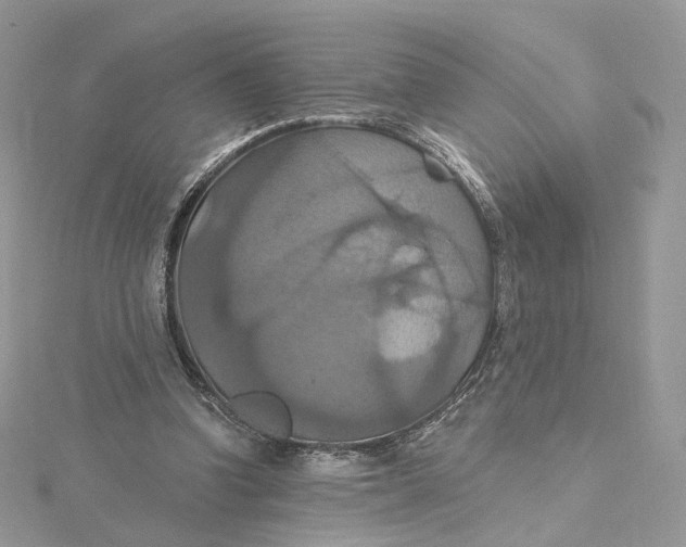 X0000115450346200911251311