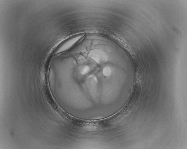 X0000115450347200911251311