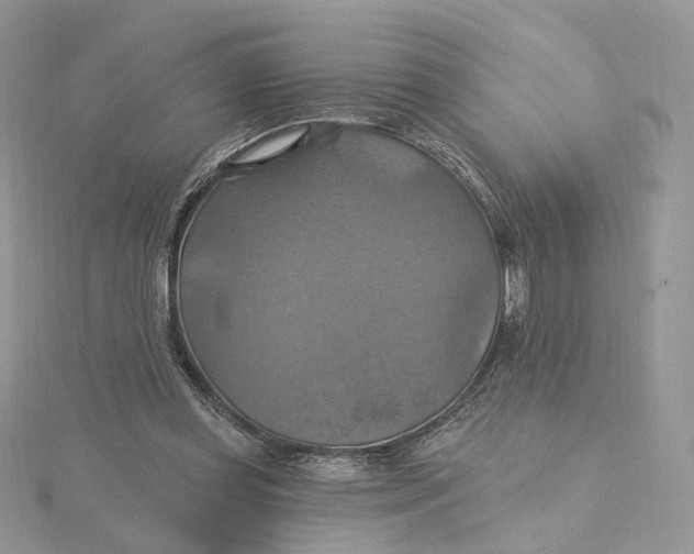 X0000115450349200911251311