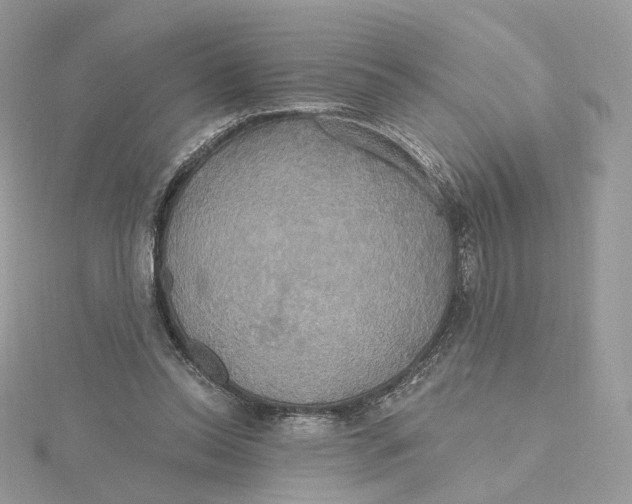 X0000115450350200911251312