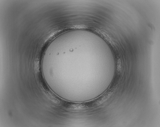 X0000115450351200911251312