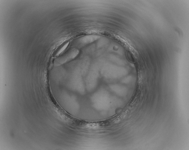 X0000115450353200911251312