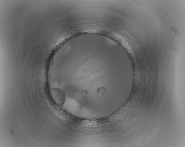 X0000115450354200911251312