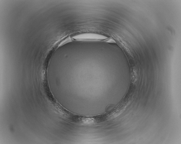 X0000115450355200911251312