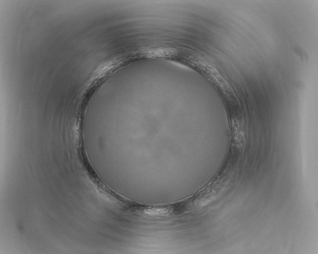 X0000115450357200911251312