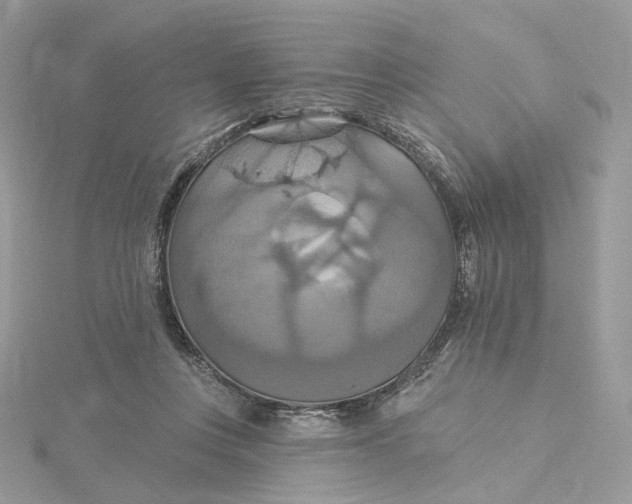 X0000115450359200911251312