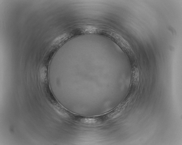 X0000115450361200911251312