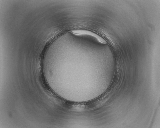 X0000115450362200911251312