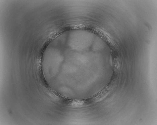 X0000115450369200911251312