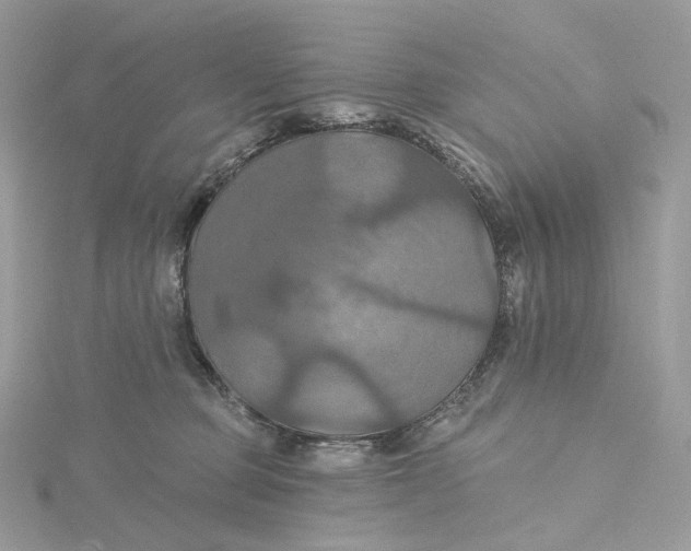 X0000115450373200911251312