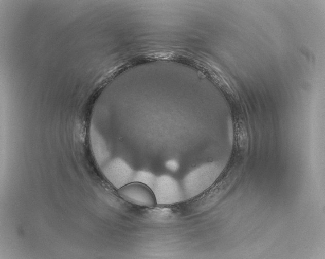 X0000115450374200911251312