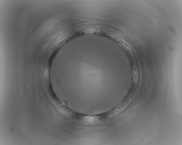 X0000115450375200911251312