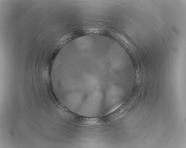 X0000115450377200911251312