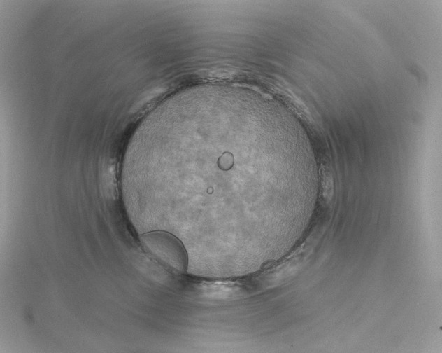 X0000115450378200911251312