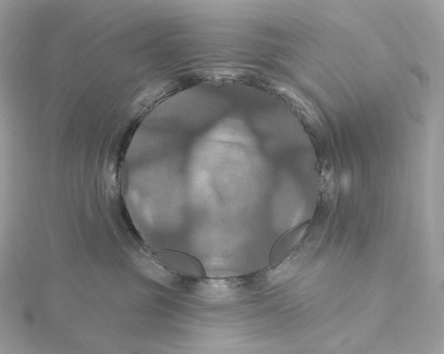 X0000115450381200911251312