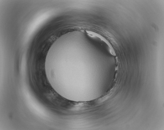 X0000115450382200911251312