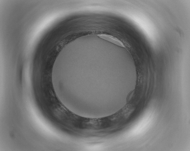 X0000115450383200911251312