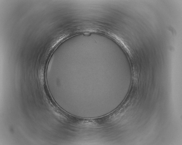 X0000115450386200911251311