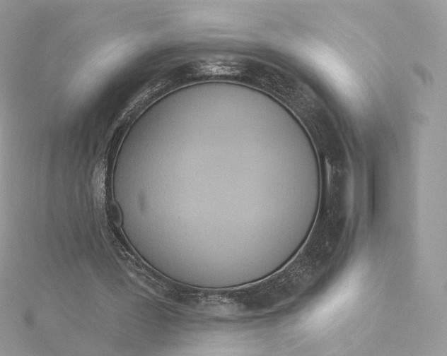 X0000115450387200911251311