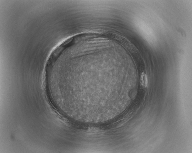 X0000115450388200911251311