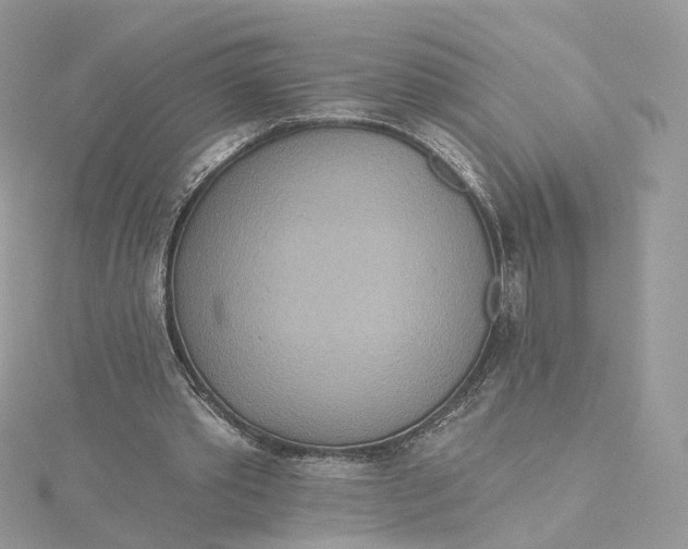 X0000115450389200911251311