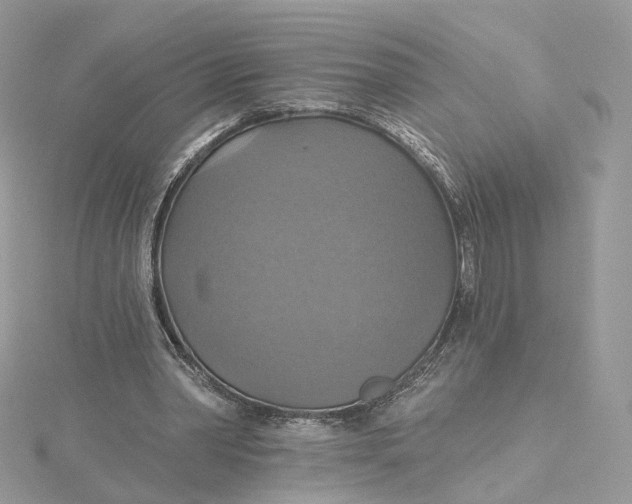 X0000115450390200911251311