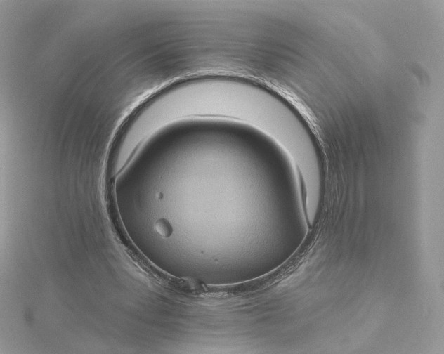 X0000115450391200911251311