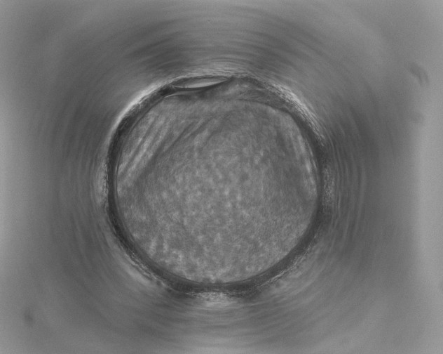 X0000115450392200911251311