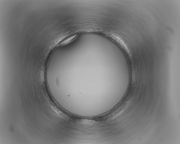 X0000115450393200911251311