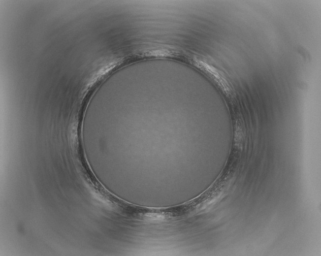 X0000115450394200911251311