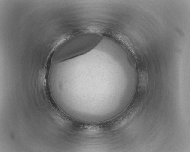 X0000115450395200911251311