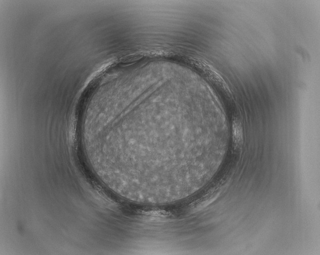 X0000115450396200911251311