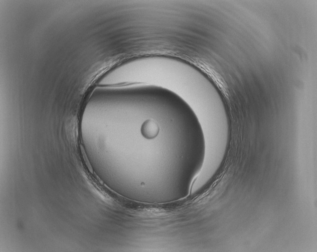 X0000115450397200911251311