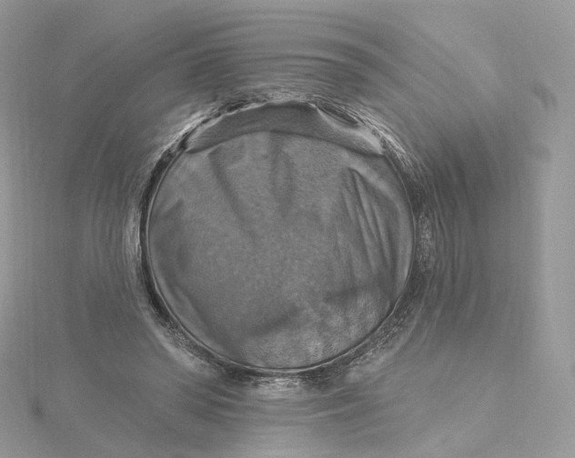 X0000115450398200911251311