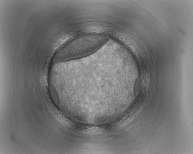 X0000115450399200911251311