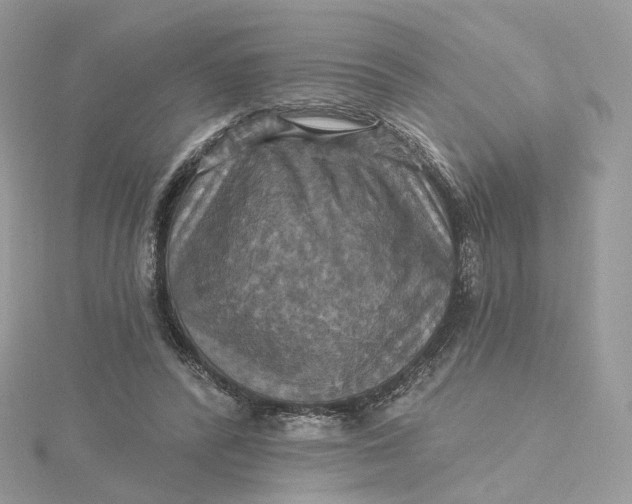 X0000115450400200911251311