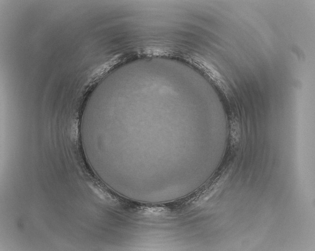 X0000115450401200911251311