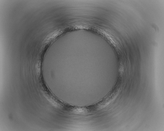 X0000115450402200911251311