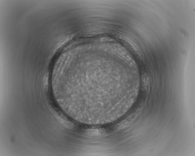 X0000115450404200911251311