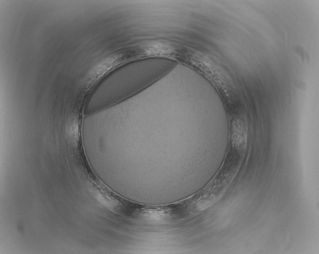 X0000115450405200911251311