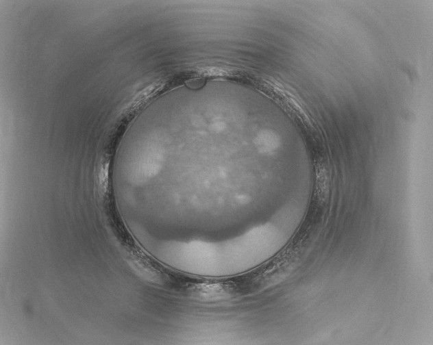 X0000115450406200911251311