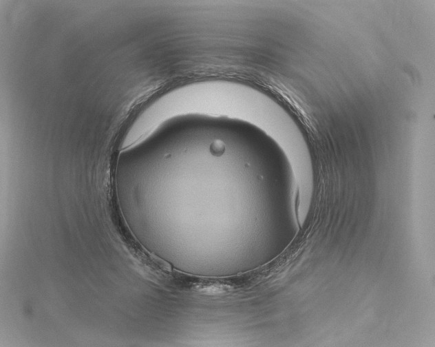 X0000115450407200911251311