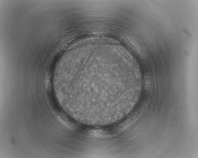 X0000115450408200911251311