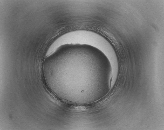 X0000115450409200911251311