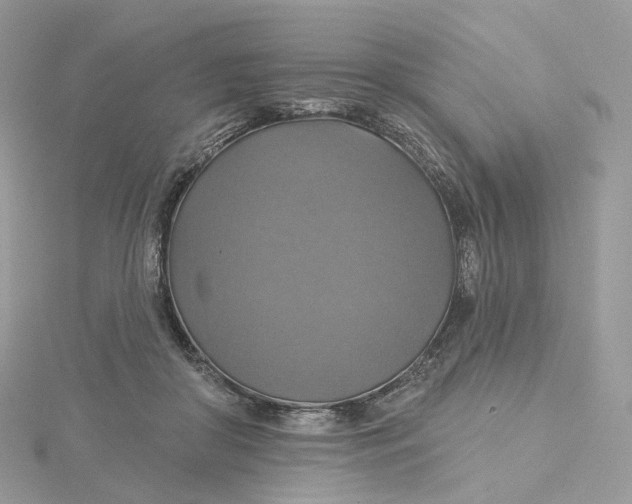 X0000115450410200911251311