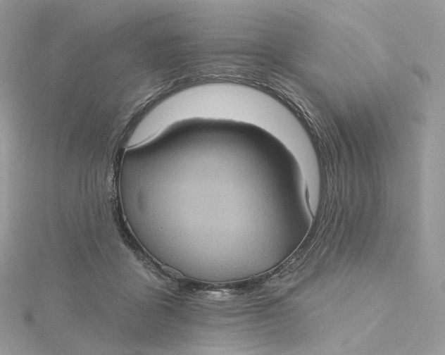 X0000115450411200911251311